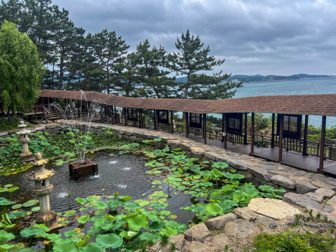 보령 죽도 상화원 가을 단풍과 풍경 여행 사진