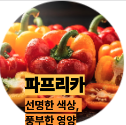 비타민C 많은 파프리카