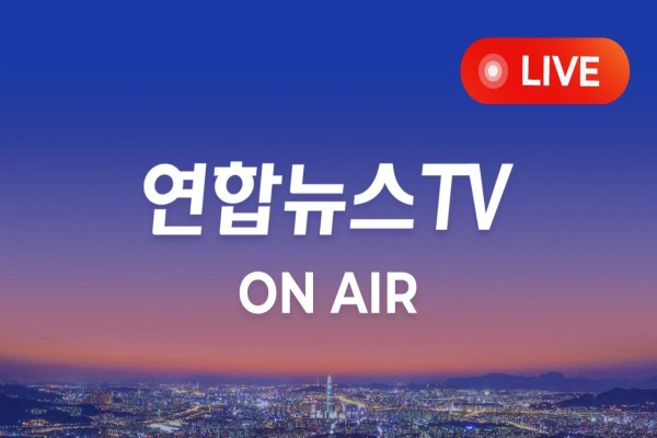 실시간 뉴스 속보 사이트 보기