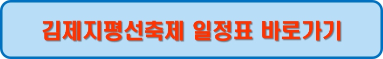 축제 일정