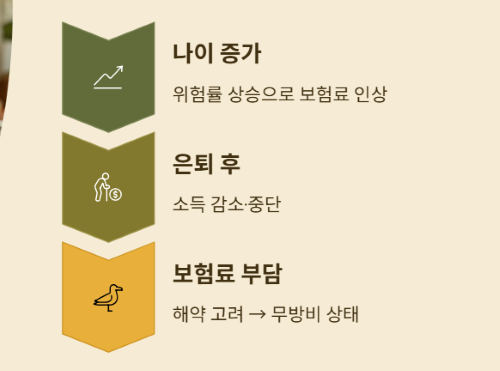 청년의 실손보험 가입&amp;#44; 지금 해야 할까요?