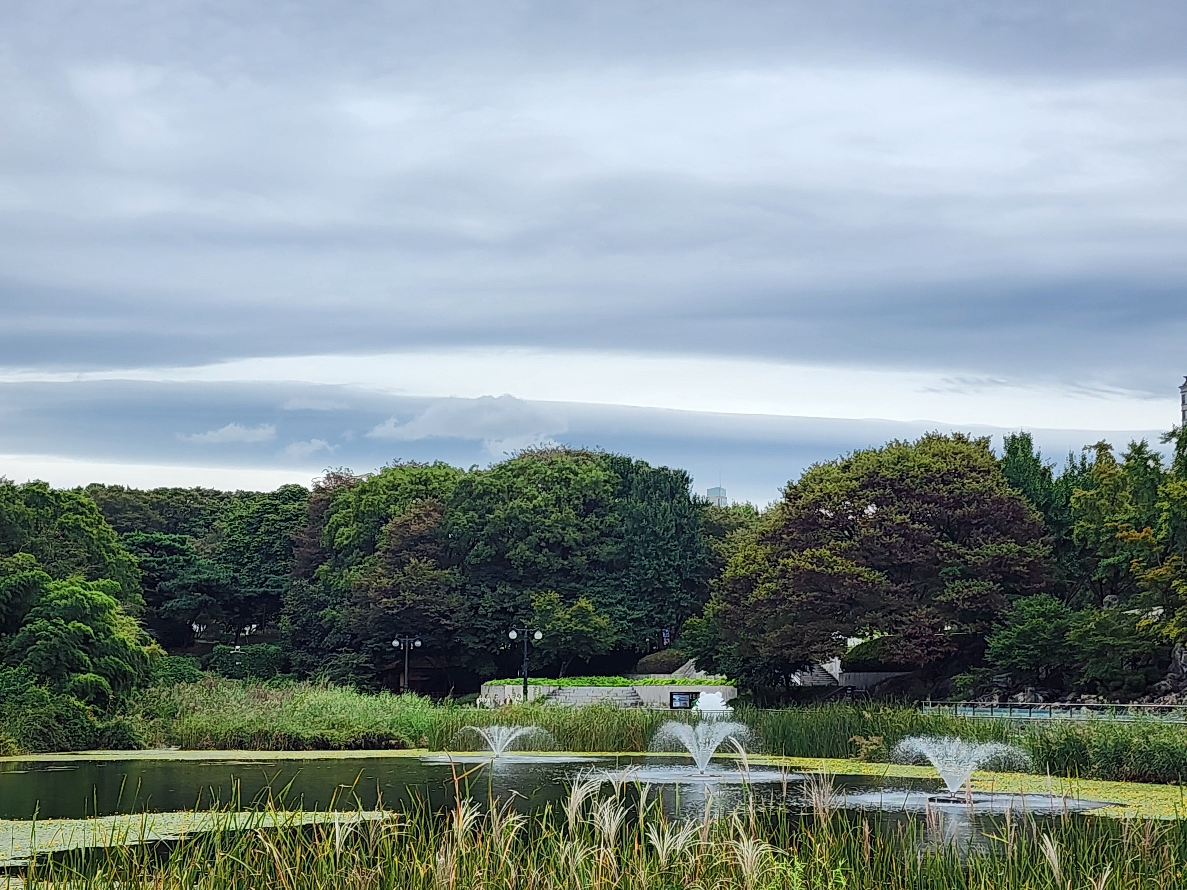 Alt 속성 문제 해결 설명 이미지