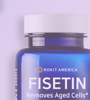 로킷헬스케어 주가전망 : AI 장기재생 플랫폼 기대감에 강세, 상장 후 흐름은?