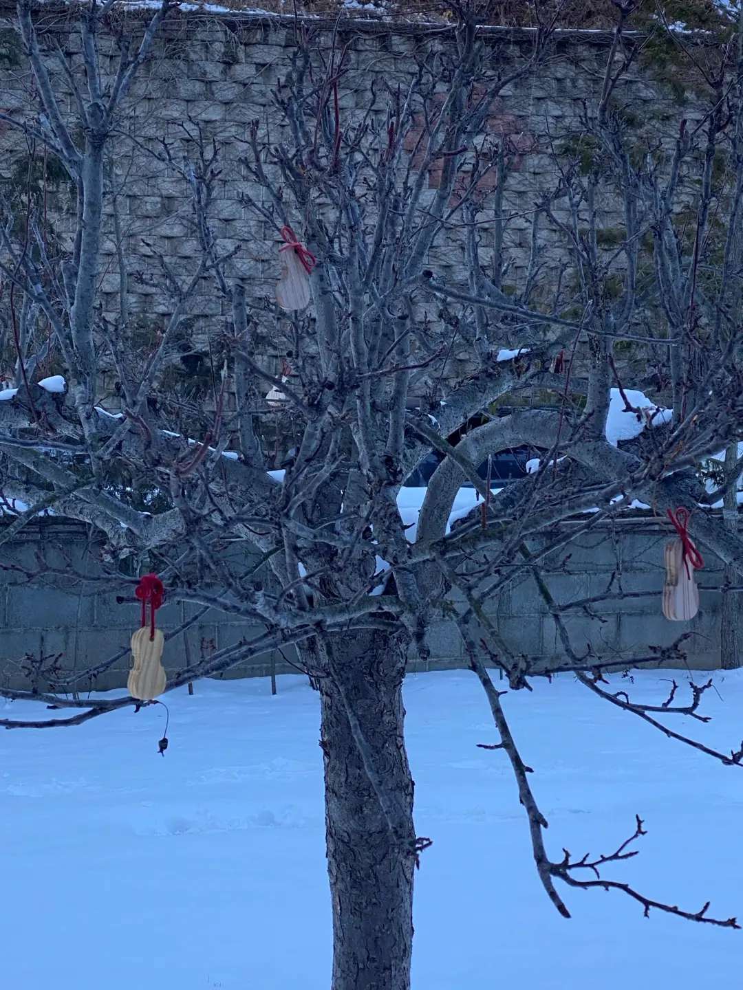 첼로네시아-정원-나무에-걸려-있는-목각-첼로소품