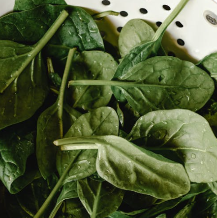 위에 좋은 음식 10