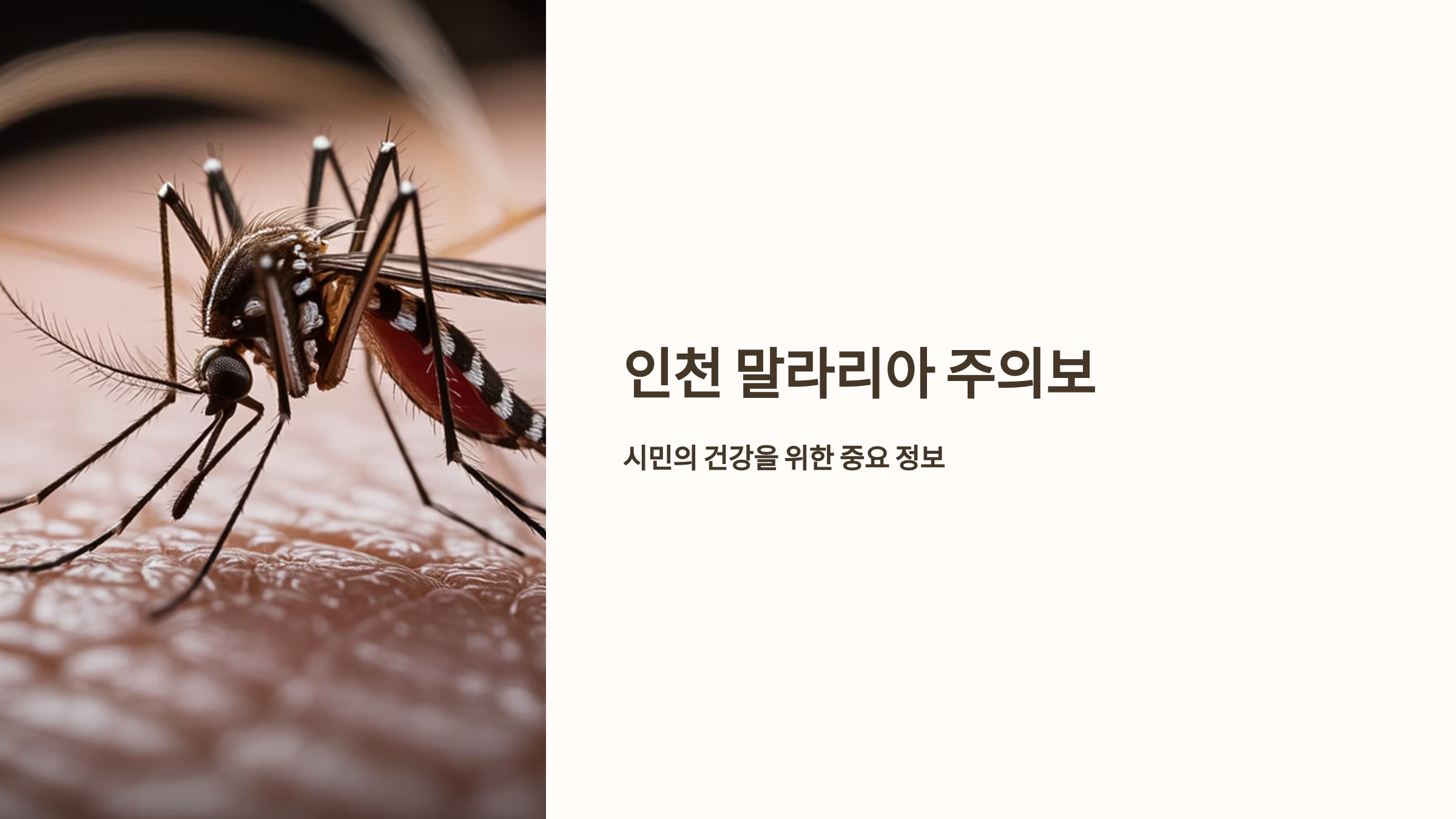 말라리아