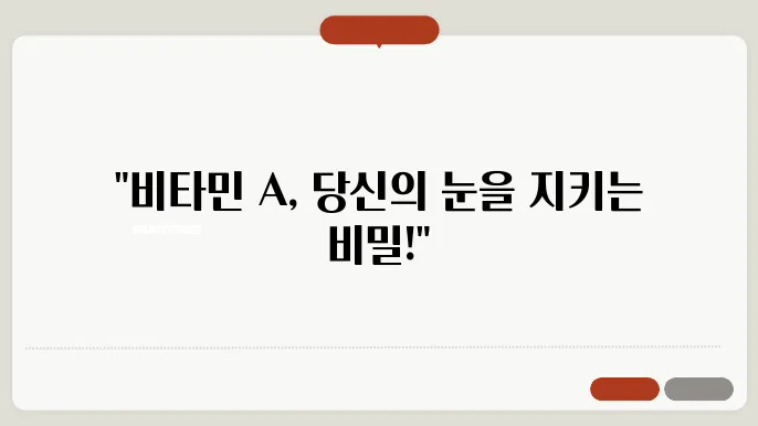 빀배낸A 하루 권장량