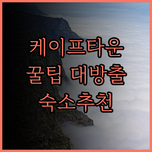 케이프타운 여행 필수 정보! 하비타트