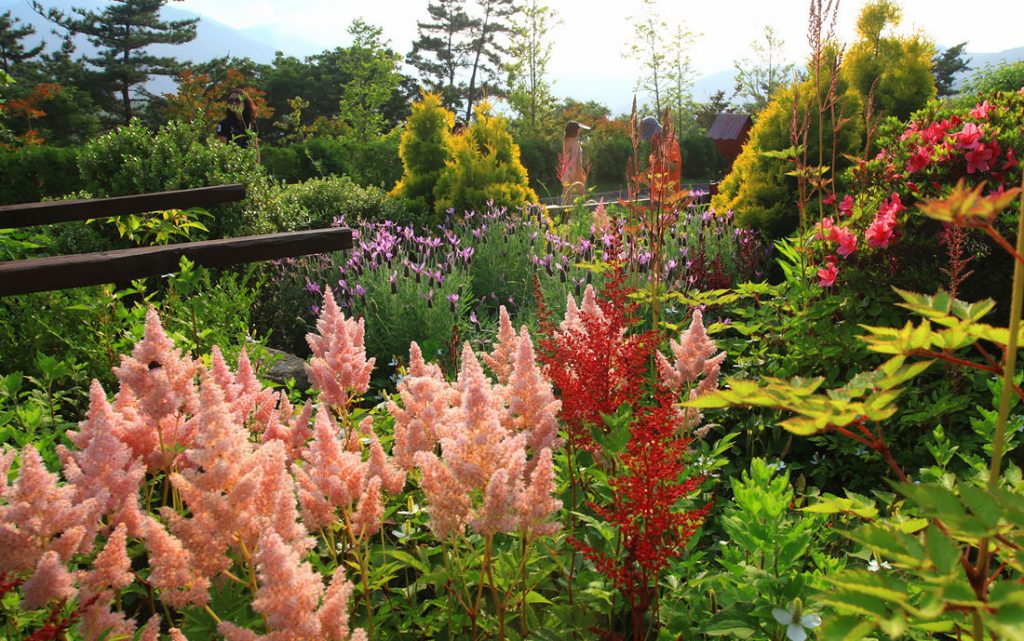 원예예술촌 HOUSE N GARDEN – 꿈이 현실이 된 정원 마을