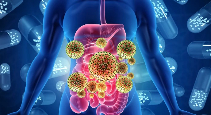 낙산균이란 낙산균 종류 및 효능 부작용 정리