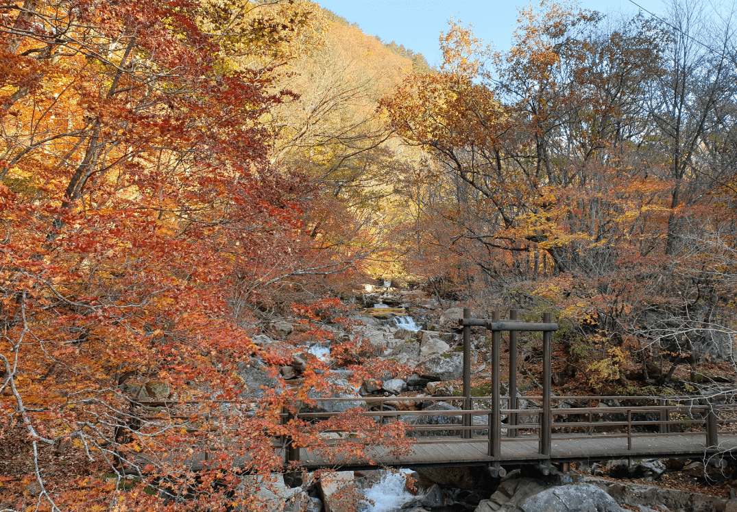 국립 방태산 자연휴양림