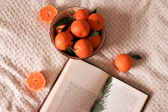 2026 설날 택배 마감 당일 발송 과일 총정리