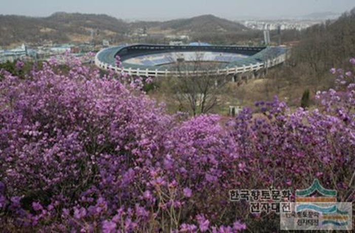 원미산 진달래동산 (출처:한국관광공사)