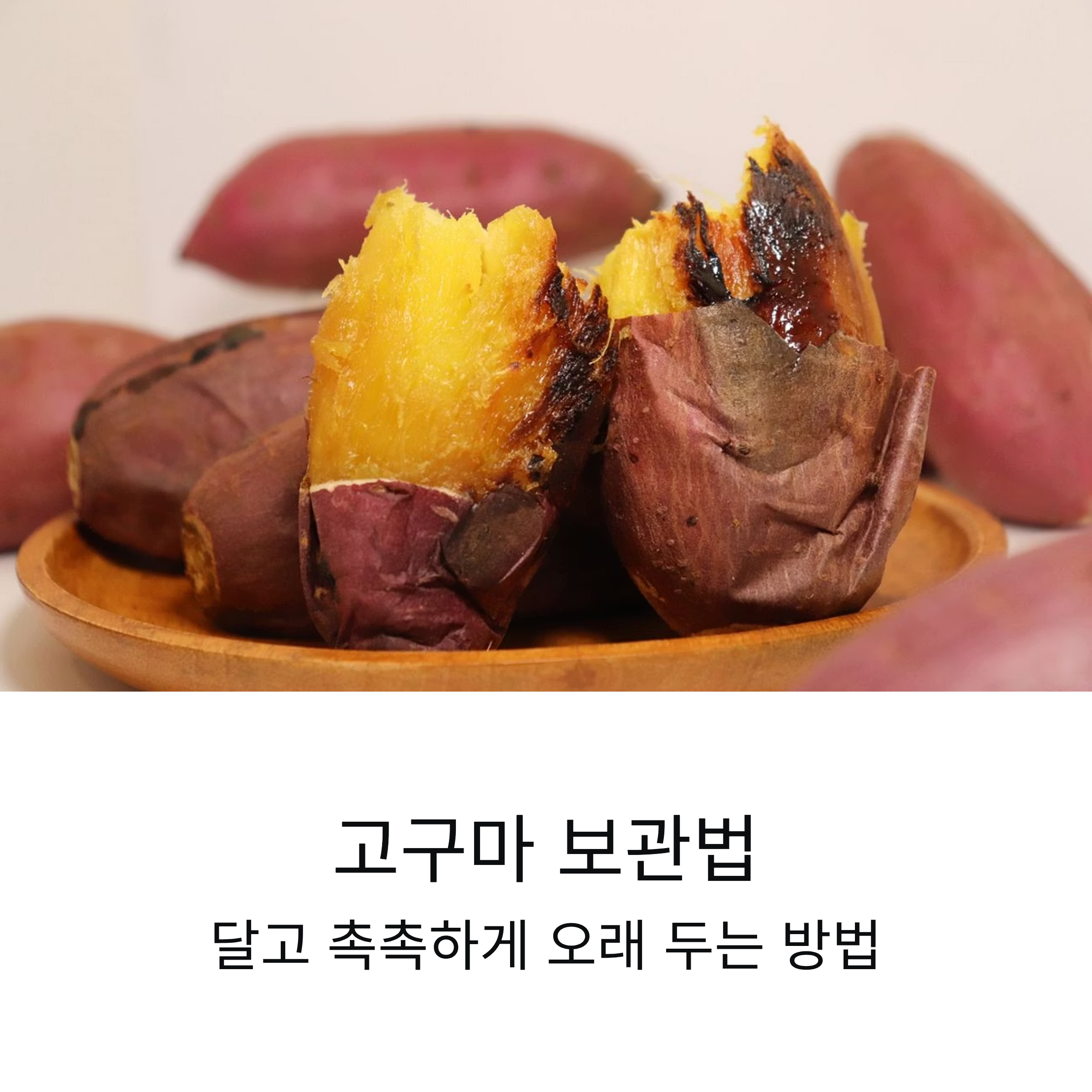 고구마 보관방법, 이렇게 하면 달고 촉촉해요! 고구마 보관법과 칼로리 총정리