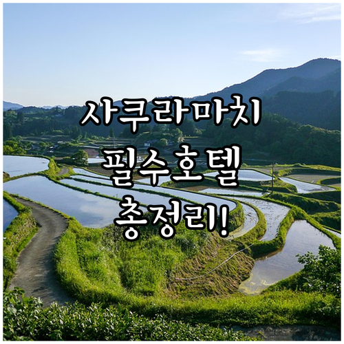 구마모토 시내 여행하기 좋은 사쿠라마..