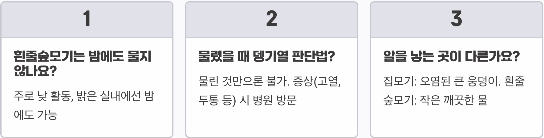 흰줄숲모기 vs 일반 집모기, 1분 만에 구별하는 결정적 차이점과 위험성
