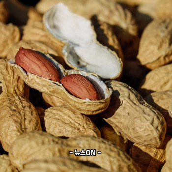 비타민B3가 많은 식품