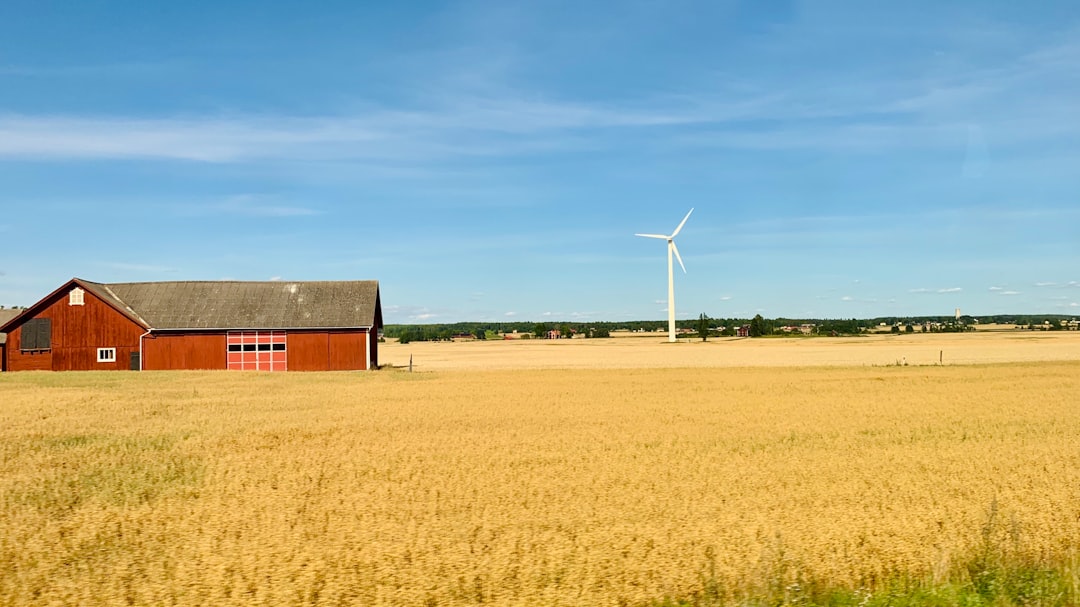 Rural