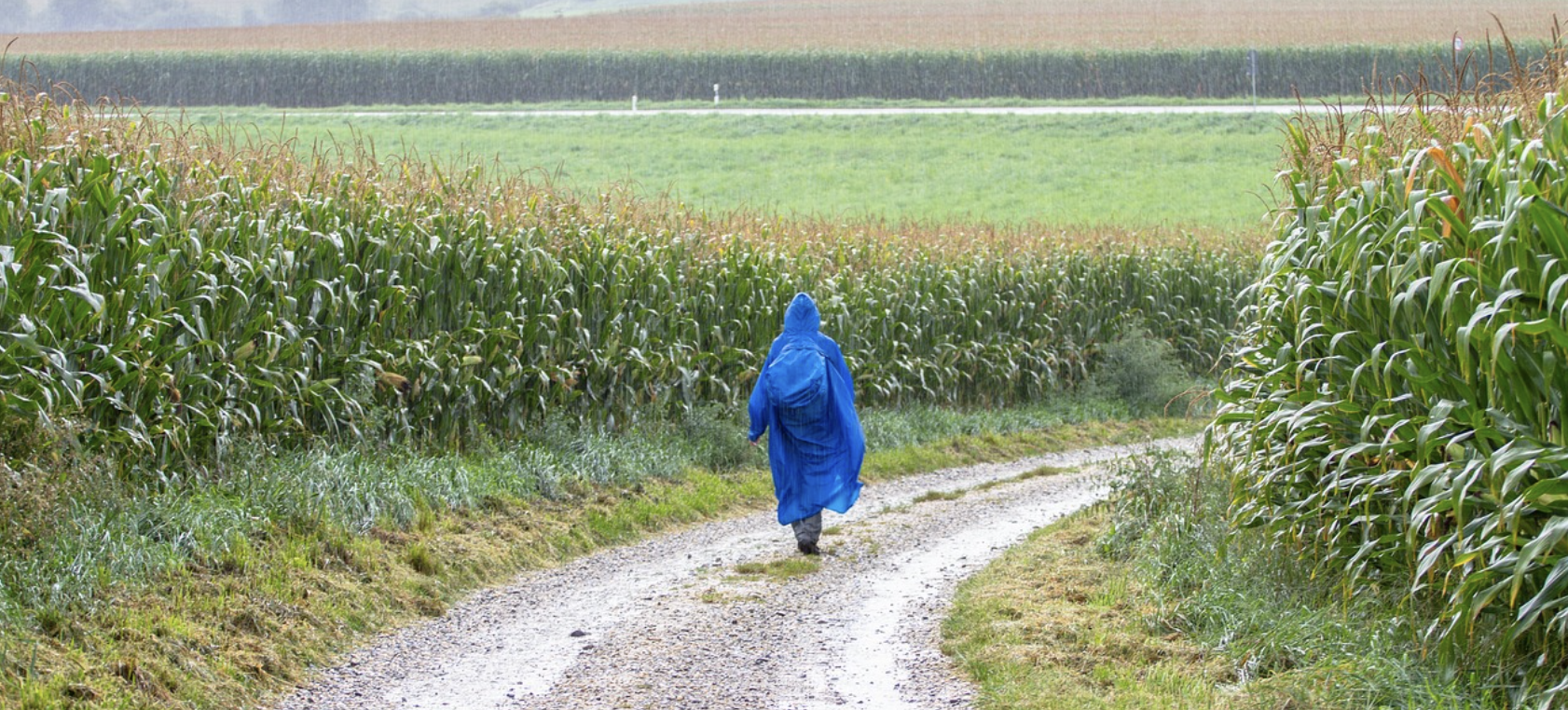 비오는날차박감성세팅법 관련사진