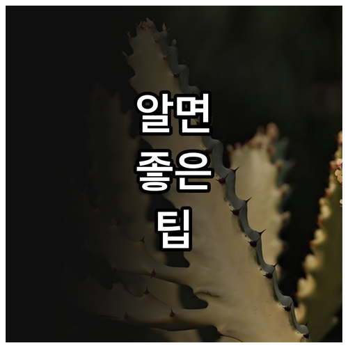 지금 확인! 2025 부산 전기차 보..