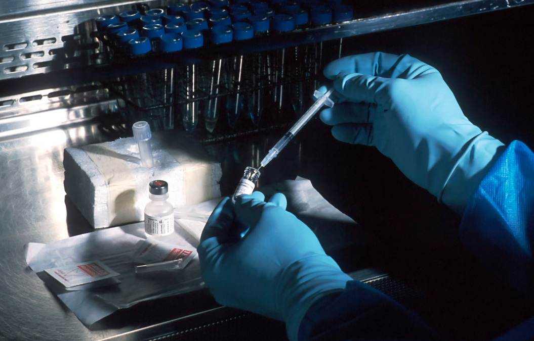 암 치료 효과 관련 이미지