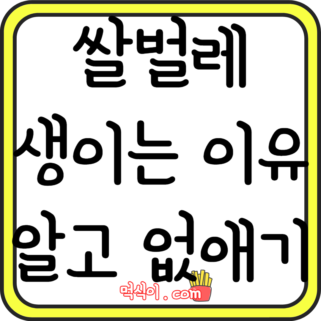 쌀벌레 생기는 이유 알고 없애기1