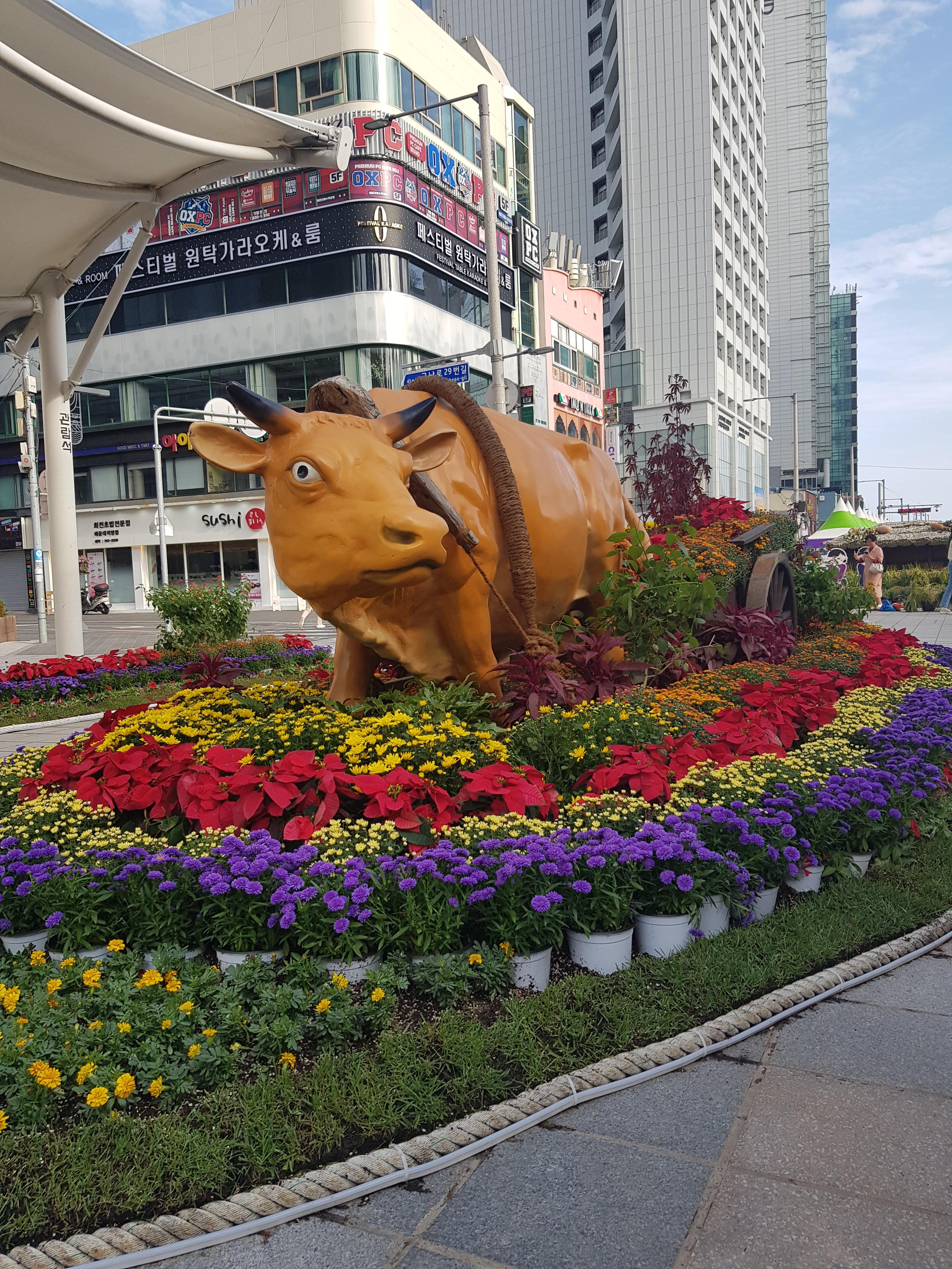 해운대-국화축제