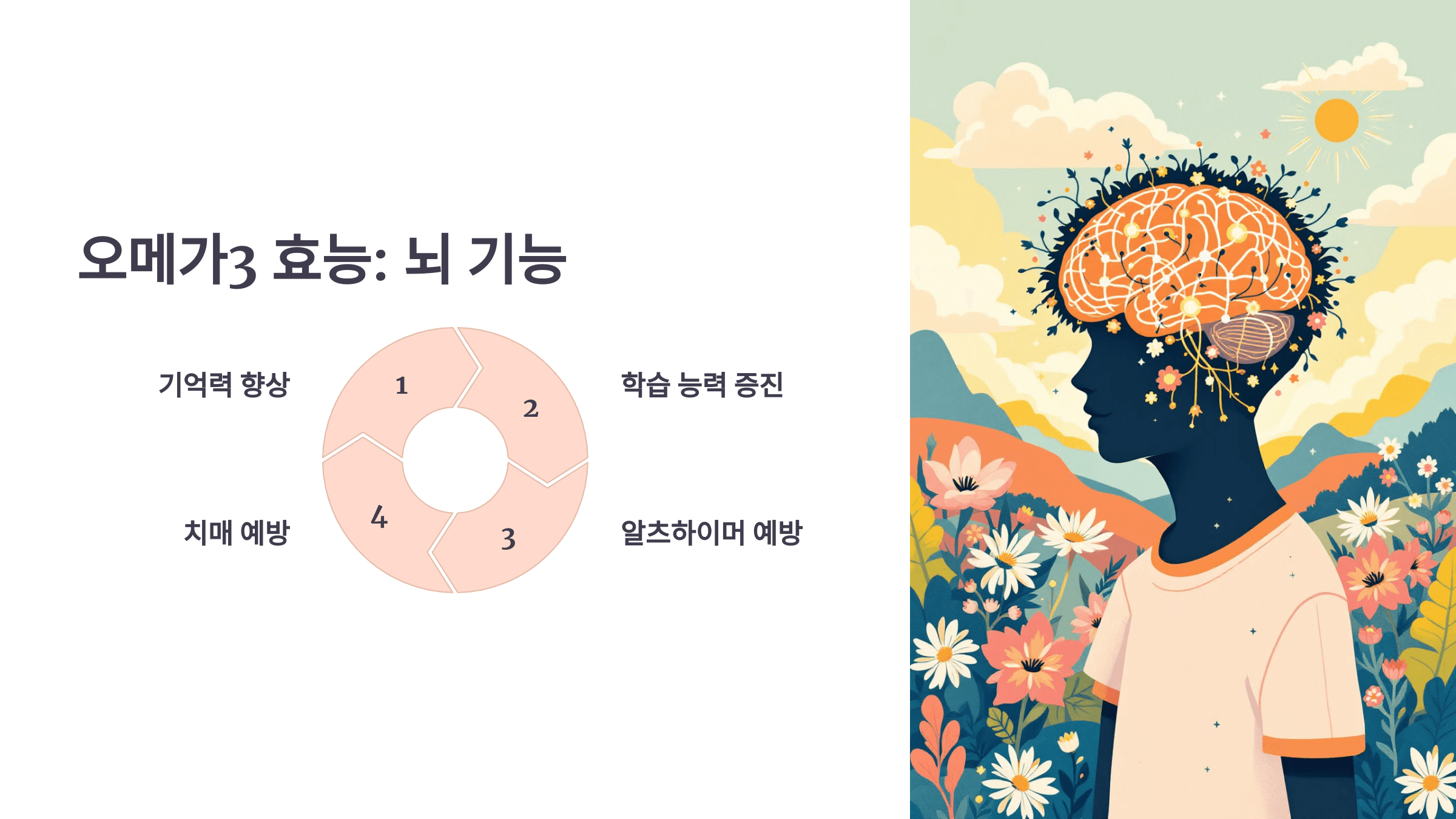 오메가3와 관련된 사진입니다.
