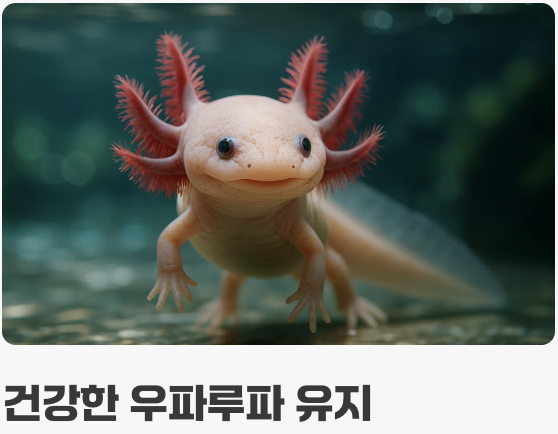 수정처럼 맑은 샘물의 법칙