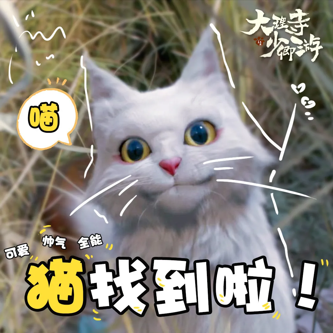 대리시소경유-고양이-풀밭