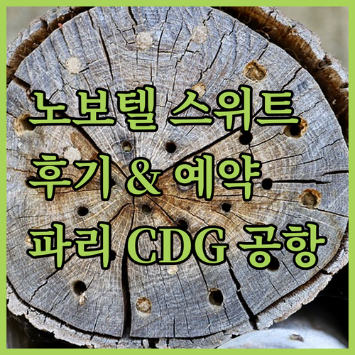 노보텔 스위트 파리 CDG 공항 빌팽