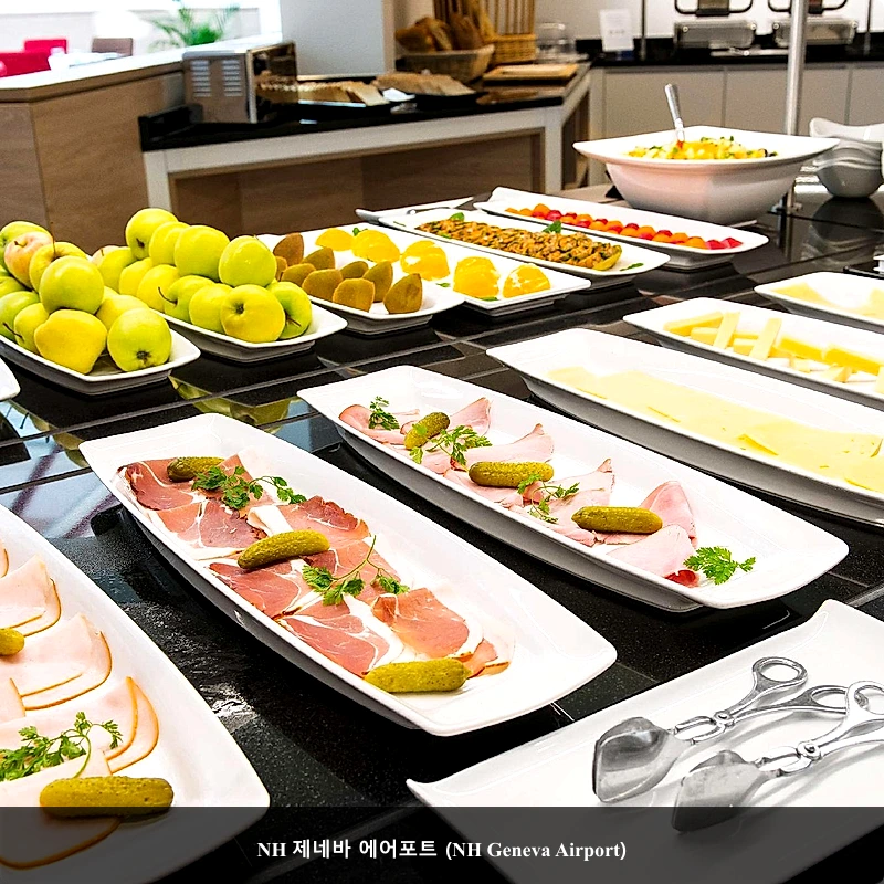 NH 제네바 에어포트 (NH Geneva Airport)_4