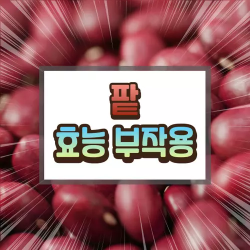 팥 효능 부작용