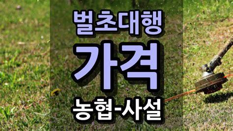 벌초 비용