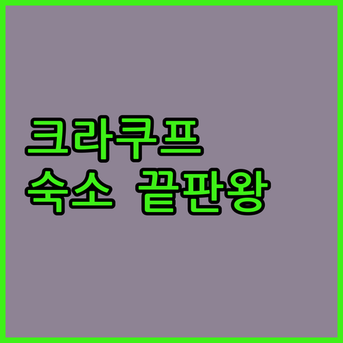 폴란드 크라쿠프 숙소 추천 TOP 5..