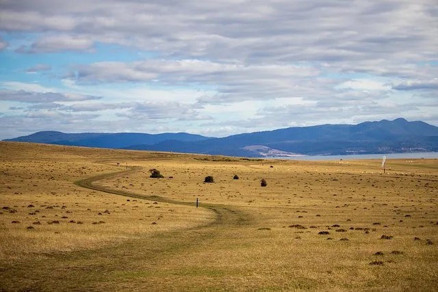 태즈메이니아 데빌 특징 매력 성격_8