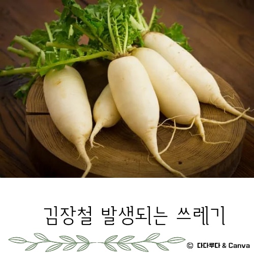 김장쓰레기 배출방법 배출요령 인천시&amp;#44; 서울시