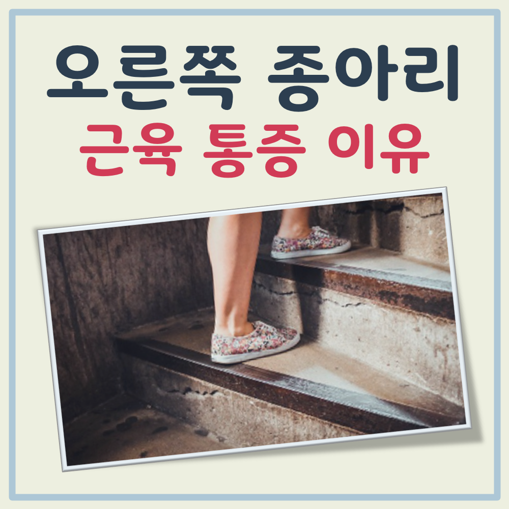 오른쪽 종아리 근육 통증 이유 대표 이미지