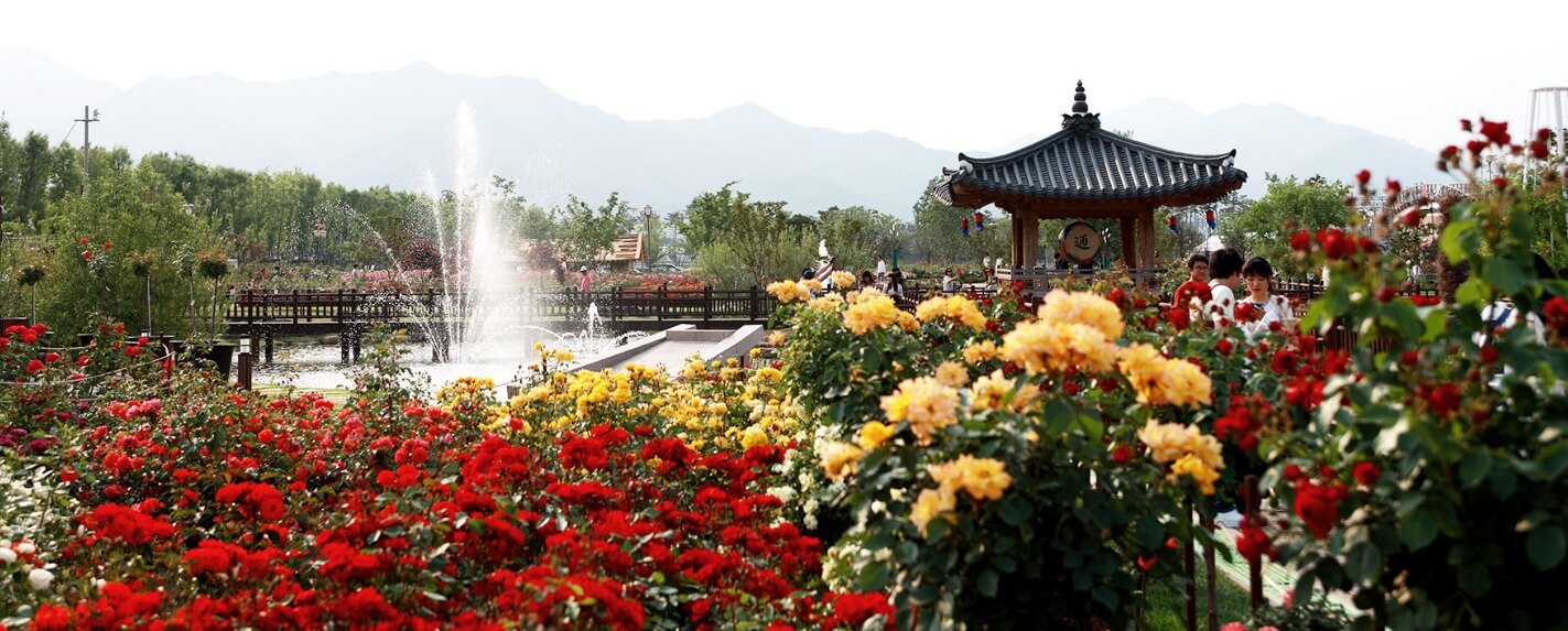 곡성세계장미축제 2025