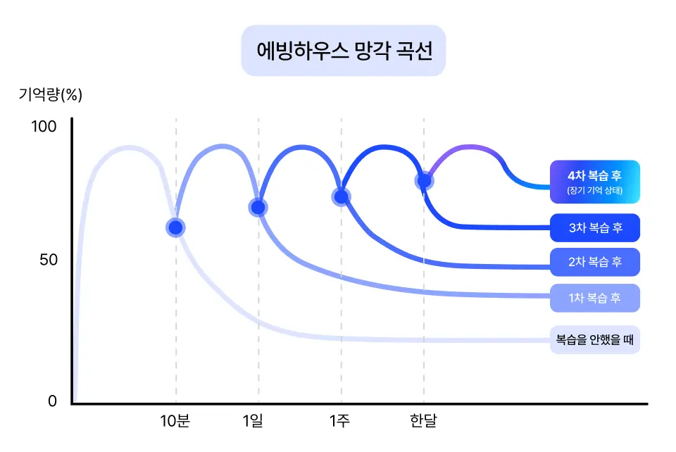 에빙하우스 망각 곡선
