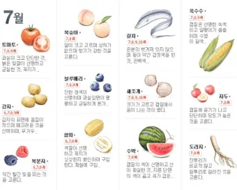 7월 제철 과일 고르는 법과 가장 맛있게 먹는 팁 소개_45