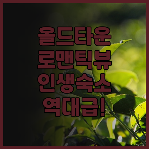 실버 39 코너 호텔 후기 올드 타운..