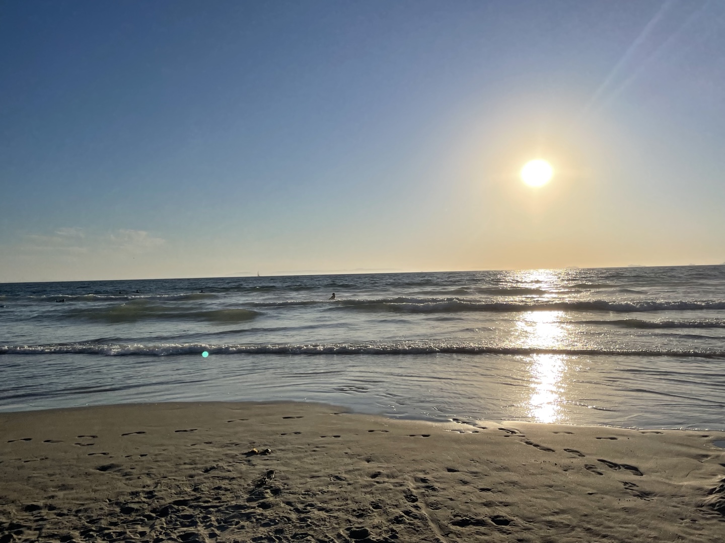 애플페이 교통카드 지원 언제 가능할까?