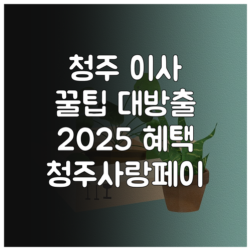청주 전입자를 위한 꿀팁 2025 청..