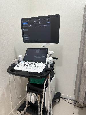 1차 의료기관 방사선실에 사용하는 환자 검사용 초음파 장비