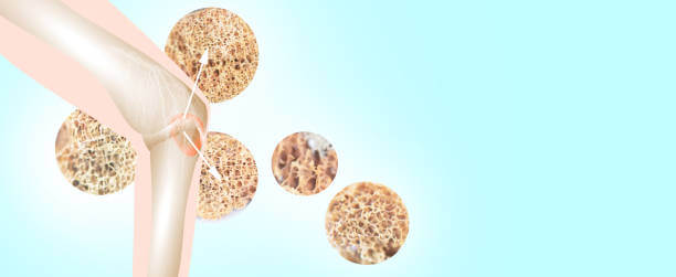 파바빈 효능 7가지, 성분 및 보관방법, 천연 인슐린이라고 불리며 오랜 역사를 가지고 있습니다.