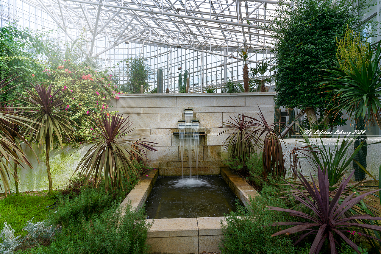 #식물 #나무 #수목원 #세종 #세종수목원 #피노키오