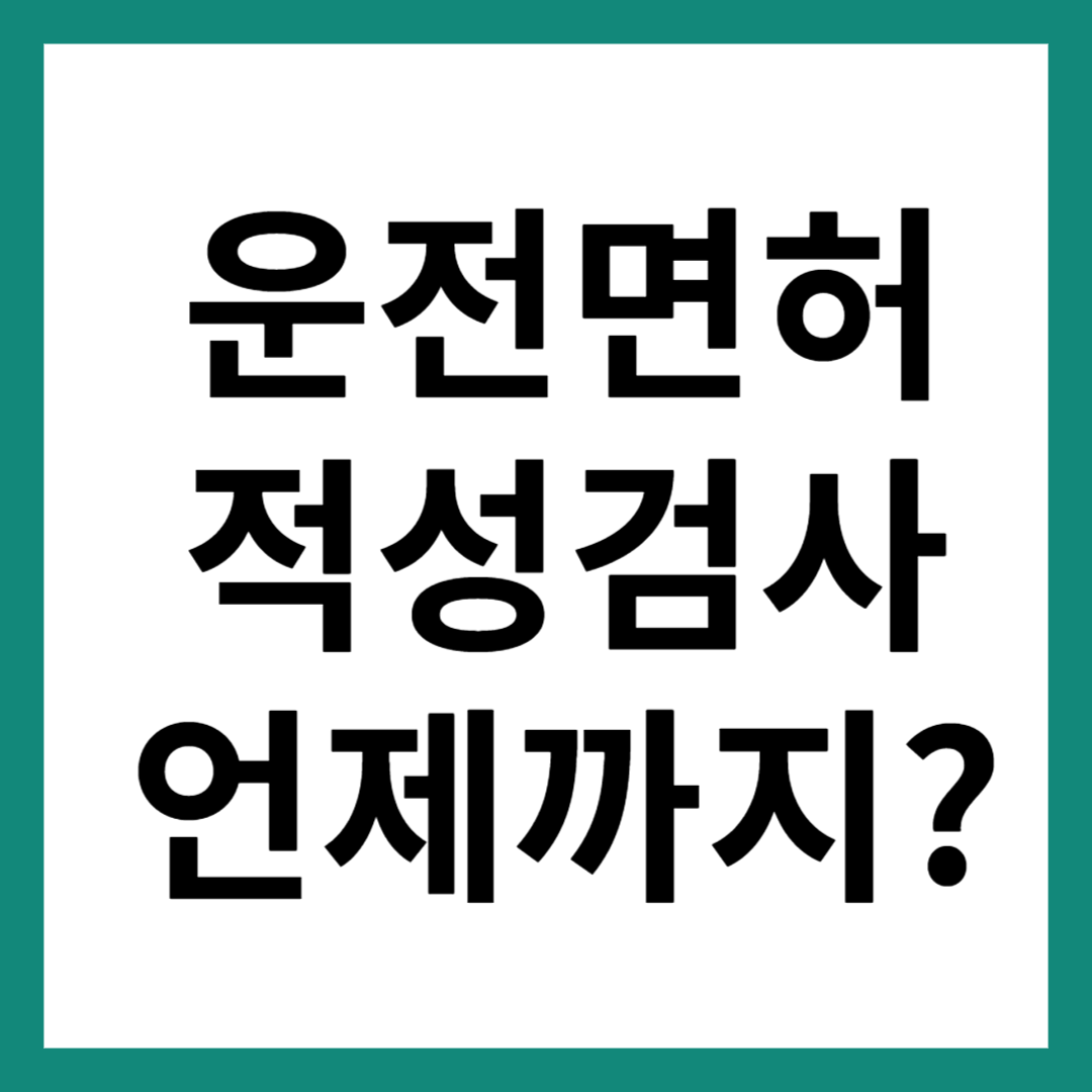 운전면허 적성검사