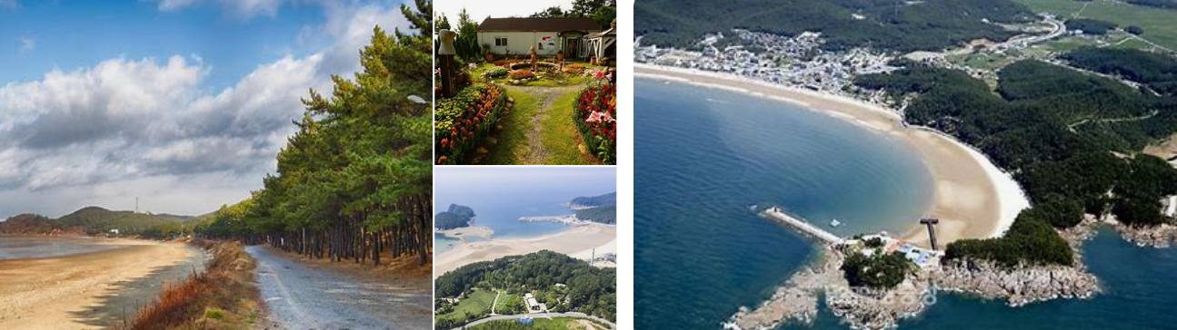 태안의 아름다운 모습들