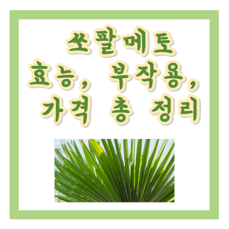 쏘팔메토
